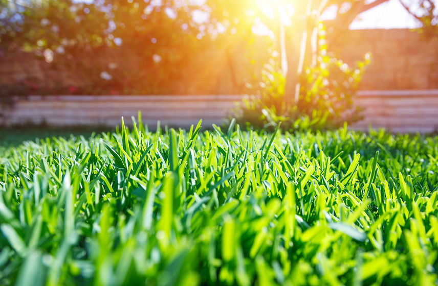 Landscaping For Curb Appeal