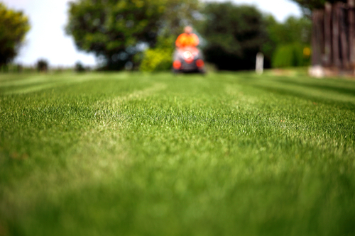 Lawn Mowing Fargo