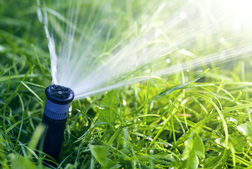 Lawn Watering Mistakes