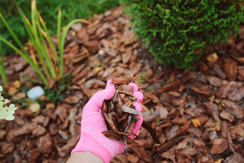 Mulch Company Fargo