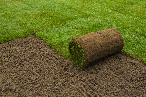 Sod Installation Fargo