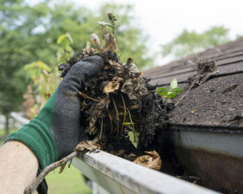 Fall Gutter Cleaning