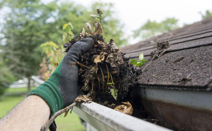 Fall Gutter Cleaning